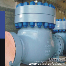 API 6D Industrial Flange ou Wafer Joint en fonte ou forgé en acier inoxydable Ball ou Swing Check Valve